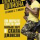 Полтора шпиона (2016)