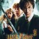 Гарри Поттер и Тайная комната (2002)