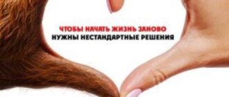 Мой сосед - монстр (2024)
