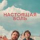 Настоящая боль (2024)