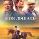 Моя лошадь (2016)