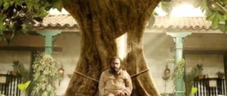 Сто лет одиночества (сезон 2) (2026)