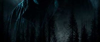 Чувствуйте себя как дома 2 (2026)